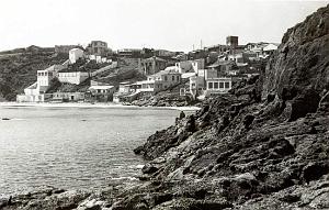 CAP FALCON  (16)